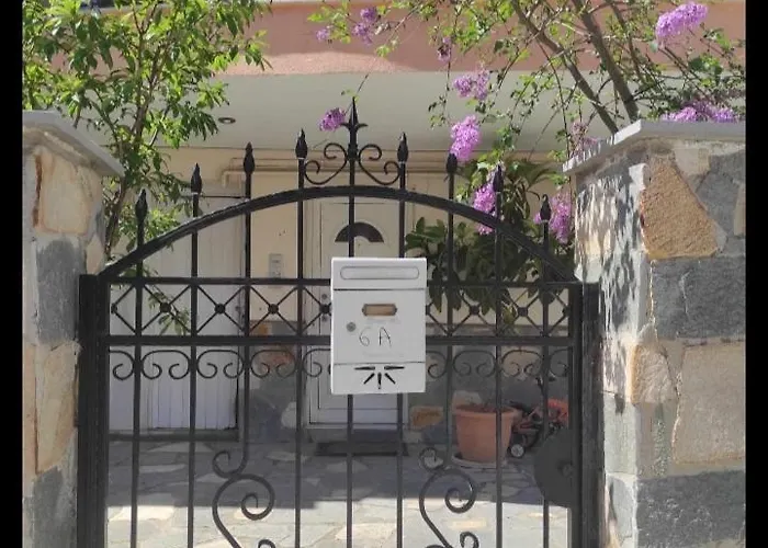 Butterfly Studio